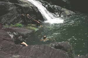activity-14_jpg.jpg
