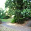 Camping 5