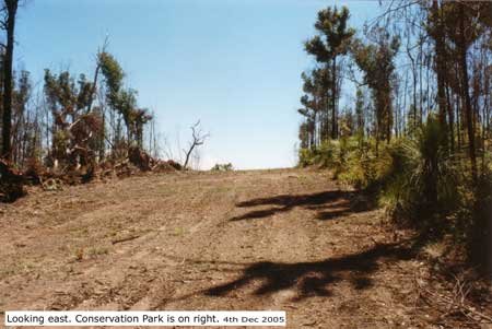 bluff top clearing 