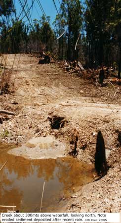 bluff top clearing 6